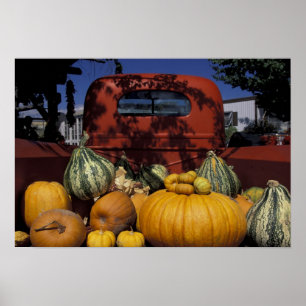 NA, USA, New Mexico, Taos. Chile stand. Poster