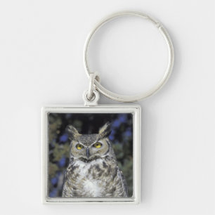 NA, USA, New Mexico, Wildlife West Nature Park Key Ring