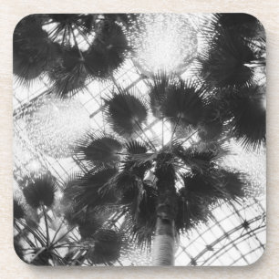 NA, USA, New York, New York City. Palm trees in Coaster