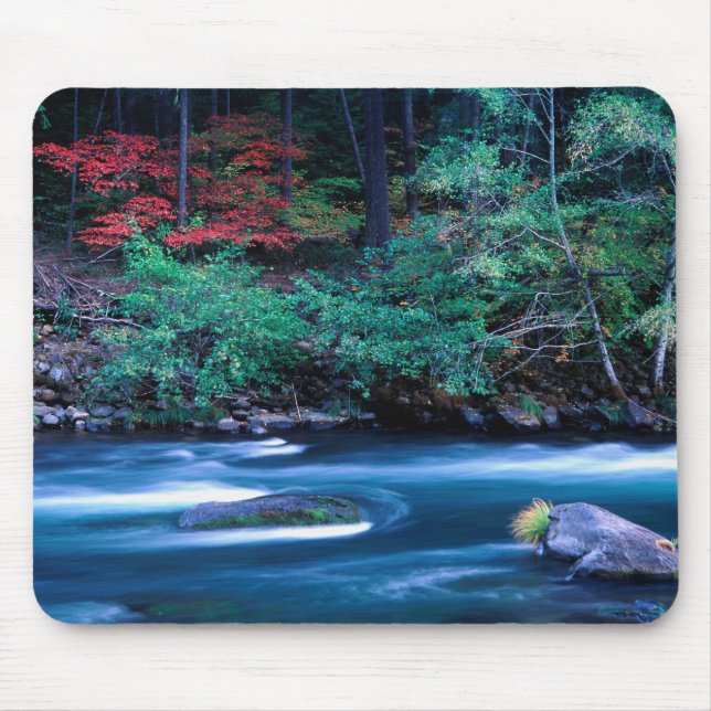 NA, USA, Oregon, Fall Foliage on North Umpquah Mouse Pad (Front)