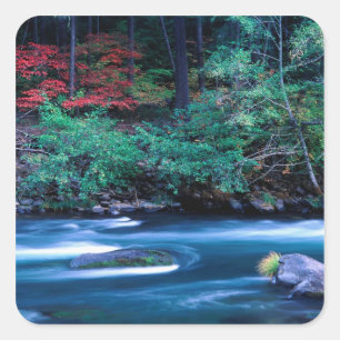 NA, USA, Oregon, Fall Foliage on North Umpquah Square Sticker