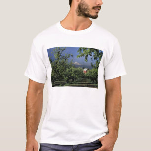 NA, USA, Oregon, near Hood River Mt. Hood with T-Shirt