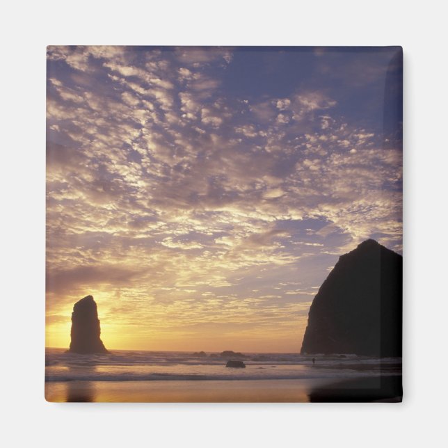 NA, USA, Oregon, Oregon Coast, Canon Beach with Magnet (Front)