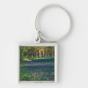 NA, USA, Oregon, Salem. Field of camas and 3 Key Ring