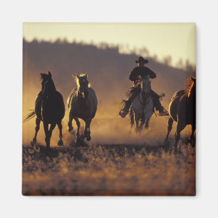 NA, USA, Oregon, Seneca, Ponderosa Ranch, Cowboy 2 Magnet