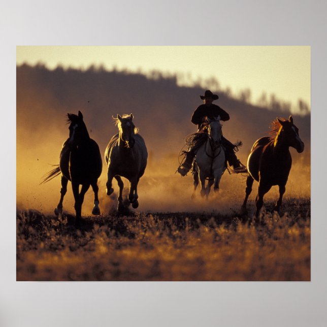 NA, USA, Oregon, Seneca, Ponderosa Ranch, Cowboy 2 Poster (Front)
