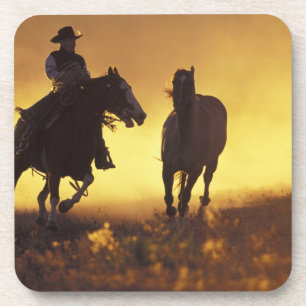 NA, USA, Oregon, Seneca, Ponderosa Ranch, Cowboy 3 Coaster