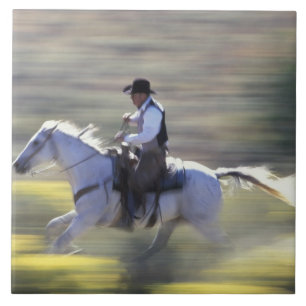 NA, USA, Oregon, Seneca, Ponderosa Ranch, Cowboy Tile