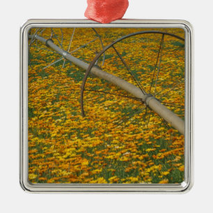 NA, USA, Oregon. Watering system in field of Metal Tree Decoration