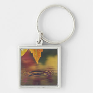 NA, USA, Pacific Northwest Key Ring