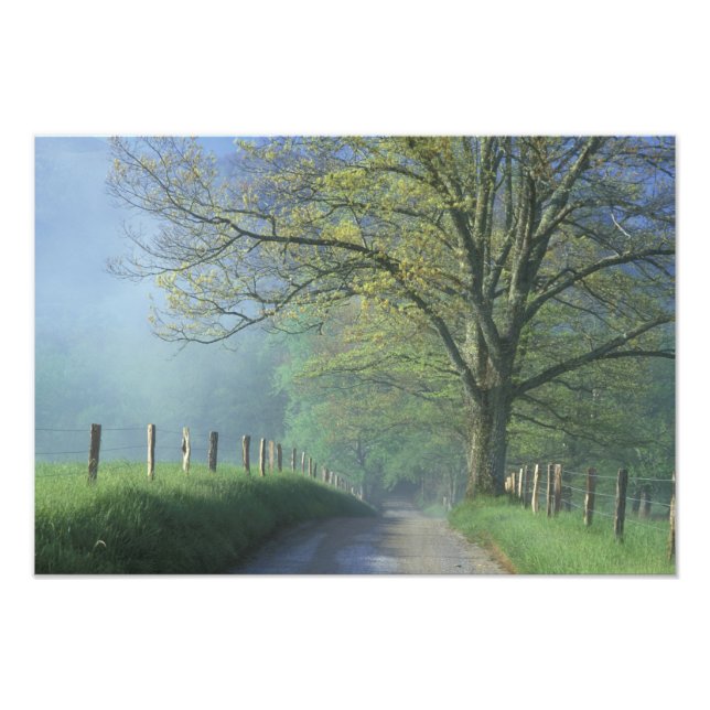NA, USA, Tennessee, Cades Cove, Great Smoky Photo Print (Front)