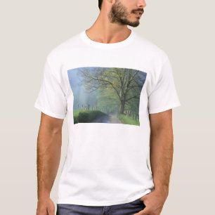 NA, USA, Tennessee, Cades Cove, Great Smoky T-Shirt