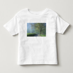 NA, USA, Tennessee, Cades Cove, Great Smoky Toddler T-Shirt
