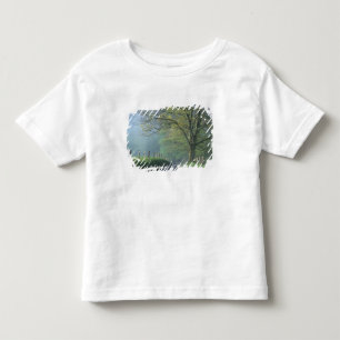 NA, USA, Tennessee, Cades Cove, Great Smoky Toddler T-Shirt