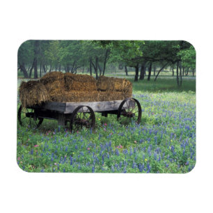 NA, USA, Texas, east of Devine, Old wagon in Magnet