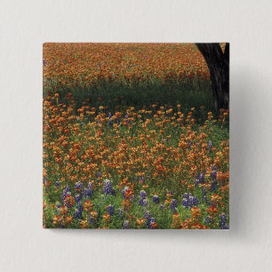 NA, USA, Texas, Hill Country, Paint brush and 15 Cm Square Badge