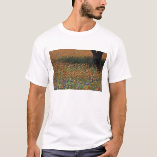 NA, USA, Texas, Hill Country, Paint brush and T-Shirt