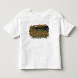NA, USA, Texas, Hill Country, Paint brush and Toddler T-Shirt