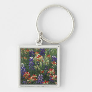 NA, USA, Texas, near Marble Falls, Paint brush Key Ring
