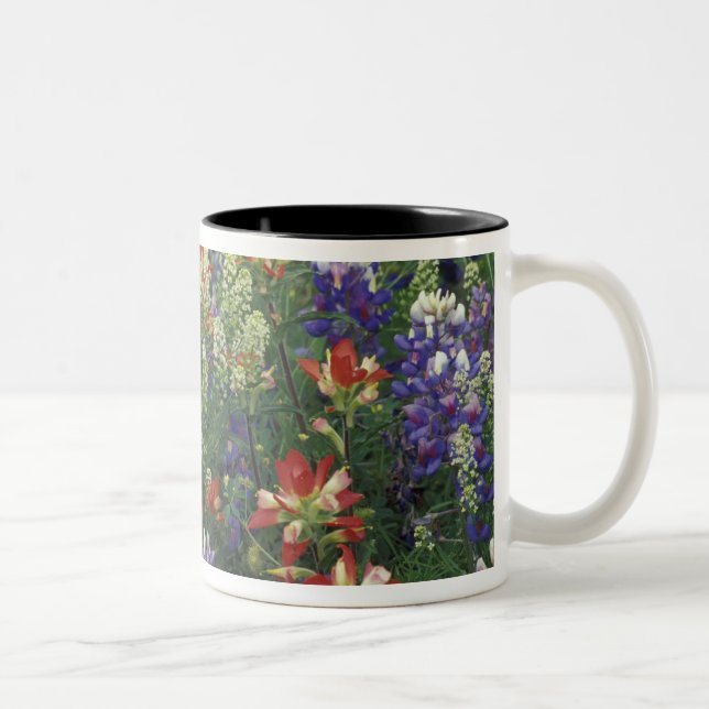 NA, USA, Texas, near Marble Falls, Paint brush Two-Tone Coffee Mug (Right)