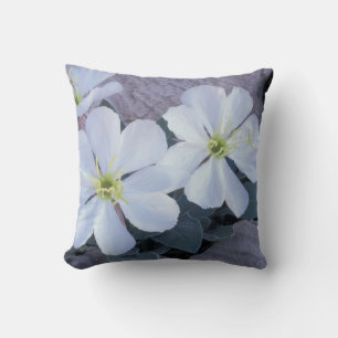 NA, USA, Utah, Arches NP, Evening primrose Cushion
