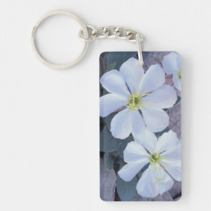 NA, USA, Utah, Arches NP, Evening primrose Key Ring
