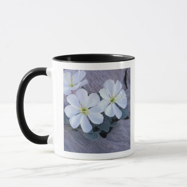 NA, USA, Utah, Arches NP, Evening primrose Mug (Left)