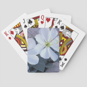 NA, USA, Utah, Arches NP, Evening primrose Playing Cards