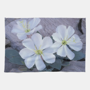 NA, USA, Utah, Arches NP, Evening primrose Tea Towel