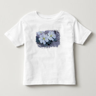 NA, USA, Utah, Arches NP, Evening primrose Toddler T-Shirt