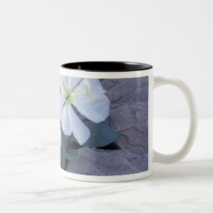 NA, USA, Utah, Arches NP, Evening primrose Two-Tone Coffee Mug