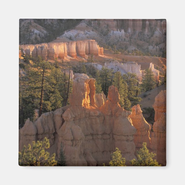 NA, USA, Utah, Bryce Canyon NP 2 Magnet (Front)