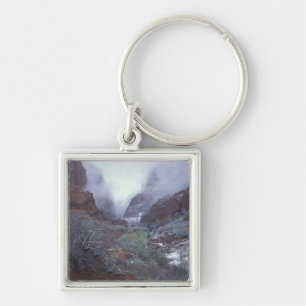 NA, USA, Utah, Zion NP, Spring snow storm, Key Ring