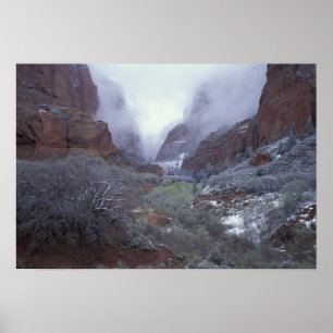 NA, USA, Utah, Zion NP, Spring snow storm, Poster