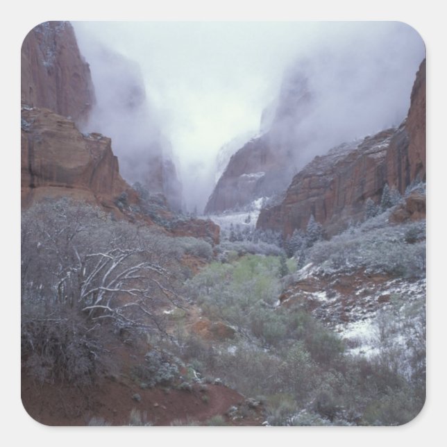 NA, USA, Utah, Zion NP, Spring snow storm, Square Sticker (Front)