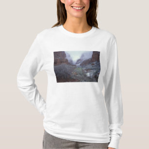 NA, USA, Utah, Zion NP, Spring snow storm, T-Shirt