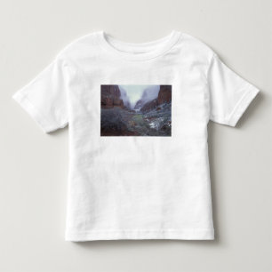 NA, USA, Utah, Zion NP, Spring snow storm, Toddler T-Shirt