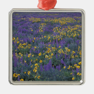 NA, USA, Washington Dalles, Lupine and Metal Tree Decoration