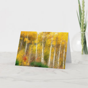 NA, USA, Washington, Fall Aspen Trees along Card