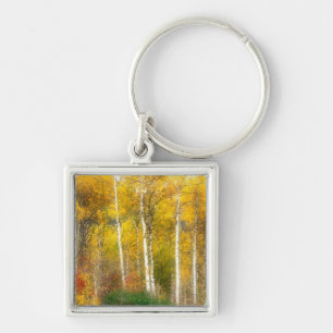 NA, USA, Washington, Fall Aspen Trees along Key Ring