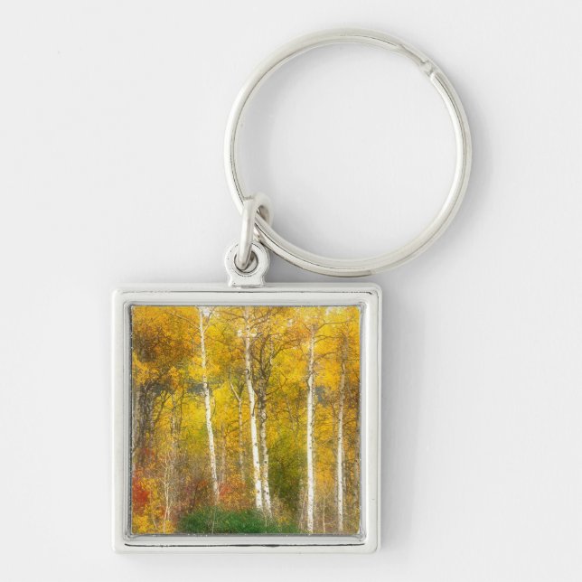 NA, USA, Washington, Fall Aspen Trees along Key Ring (Front)