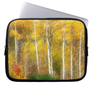 NA, USA, Washington, Fall Aspen Trees along Laptop Sleeve