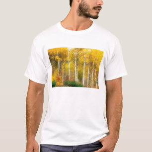 NA, USA, Washington, Fall Aspen Trees along T-Shirt