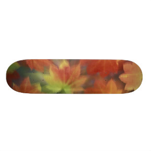 NA, USA, Washington, Issaquah, Vine maple Skateboard