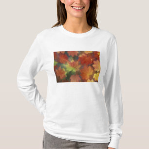 NA, USA, Washington, Issaquah, Vine maple T-Shirt