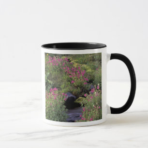NA, USA, Washington, Mt. Rainier NP, Pink Mug