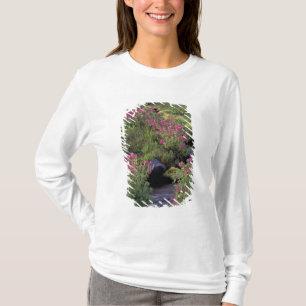 NA, USA, Washington, Mt. Rainier NP, Pink T-Shirt