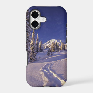 NA, USA, Washington, Mt. Rainier NP, Snowshoe