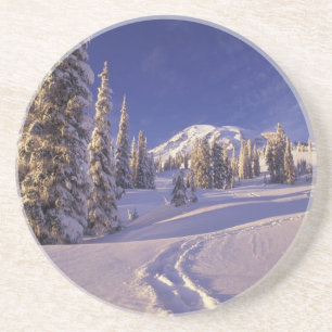 NA, USA, Washington, Mt. Rainier NP, Snowshoe Coaster