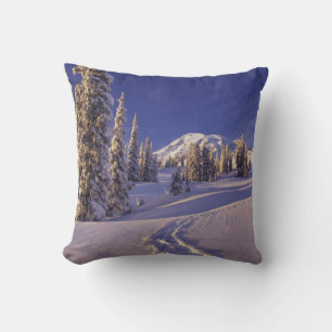 NA, USA, Washington, Mt. Rainier NP, Snowshoe Cushion